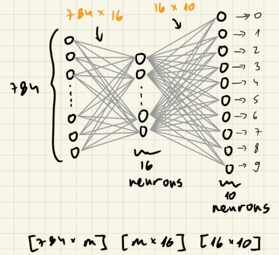 network’s structure /posts/net_struct.png